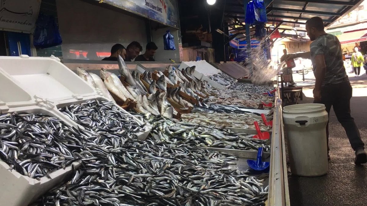 hamsiden iyi haber bereketiyle geliyor iste hamsinin satis fiyati DzFjBfFe