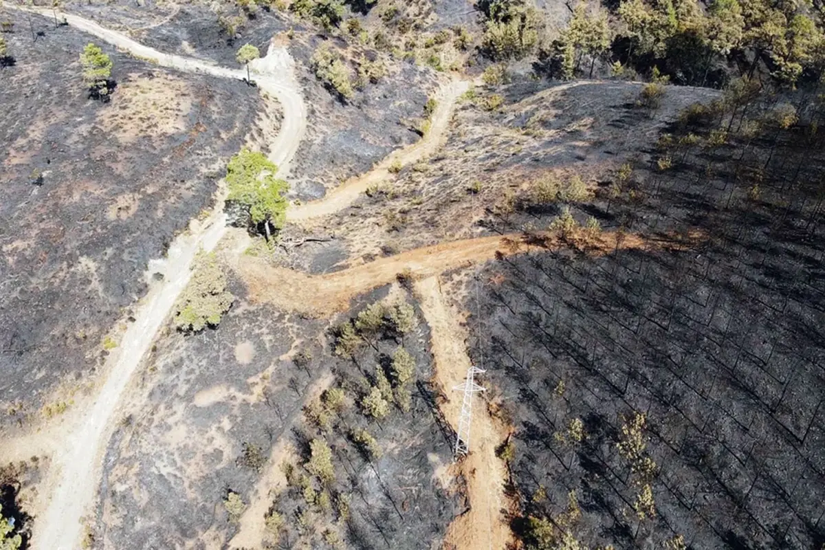 koycegiz orman yangini ikinci gunde kontrol altinda 19iQR81O