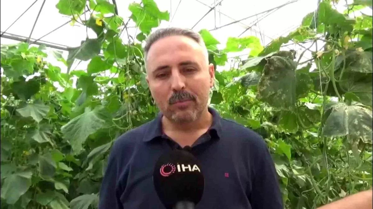 diyarbakirda salatalik serasi kuruluyor 20 kisiye istihdam saglaniyor TvIlXP68